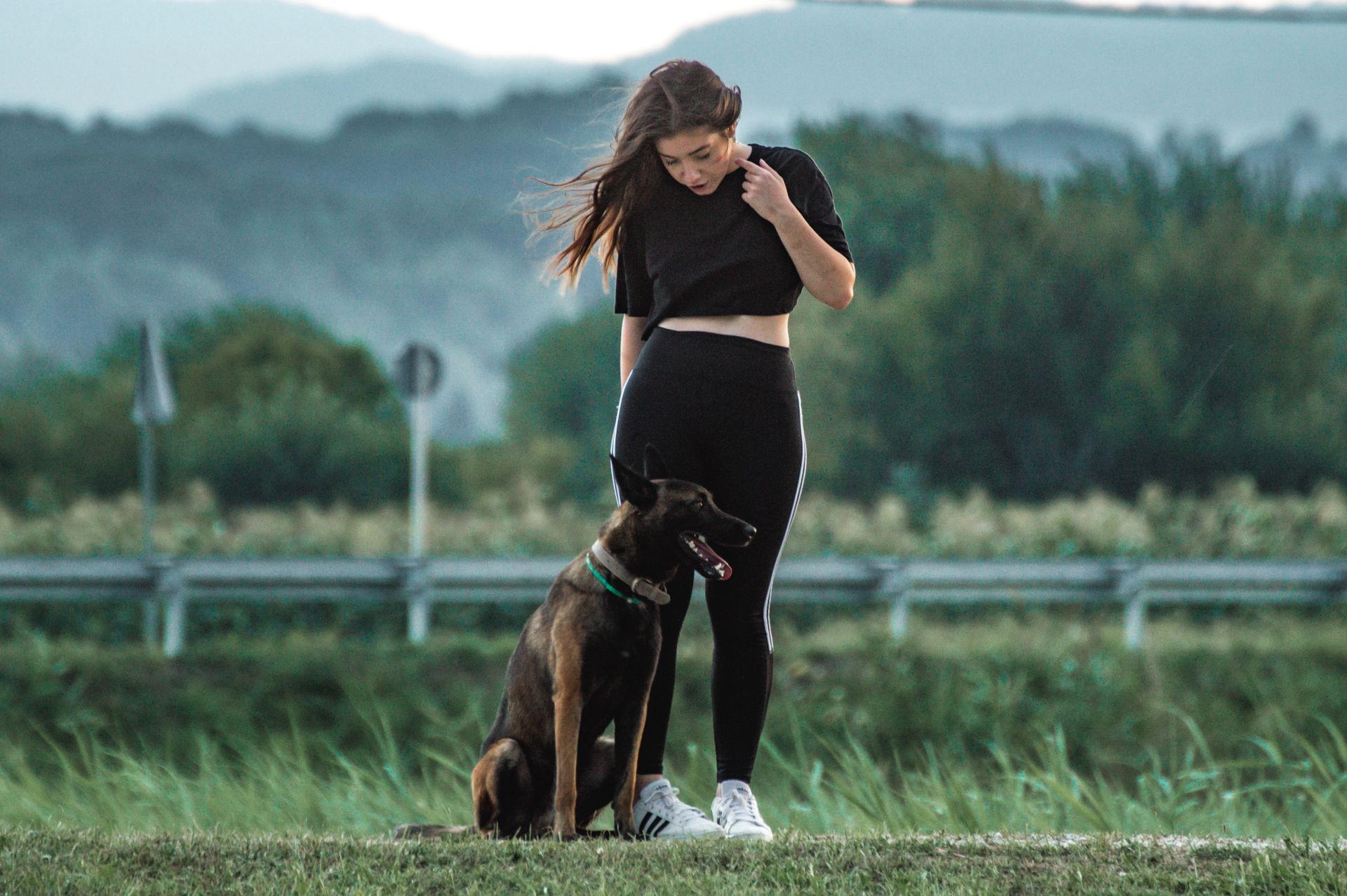 Helping a reactive dog feel calmer on walks